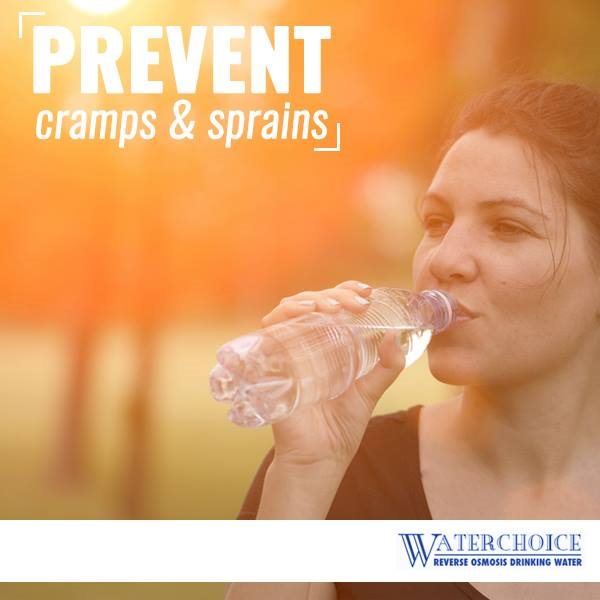 Waterchoice Water Filtration Systems, Benchtop & Floor Reverse