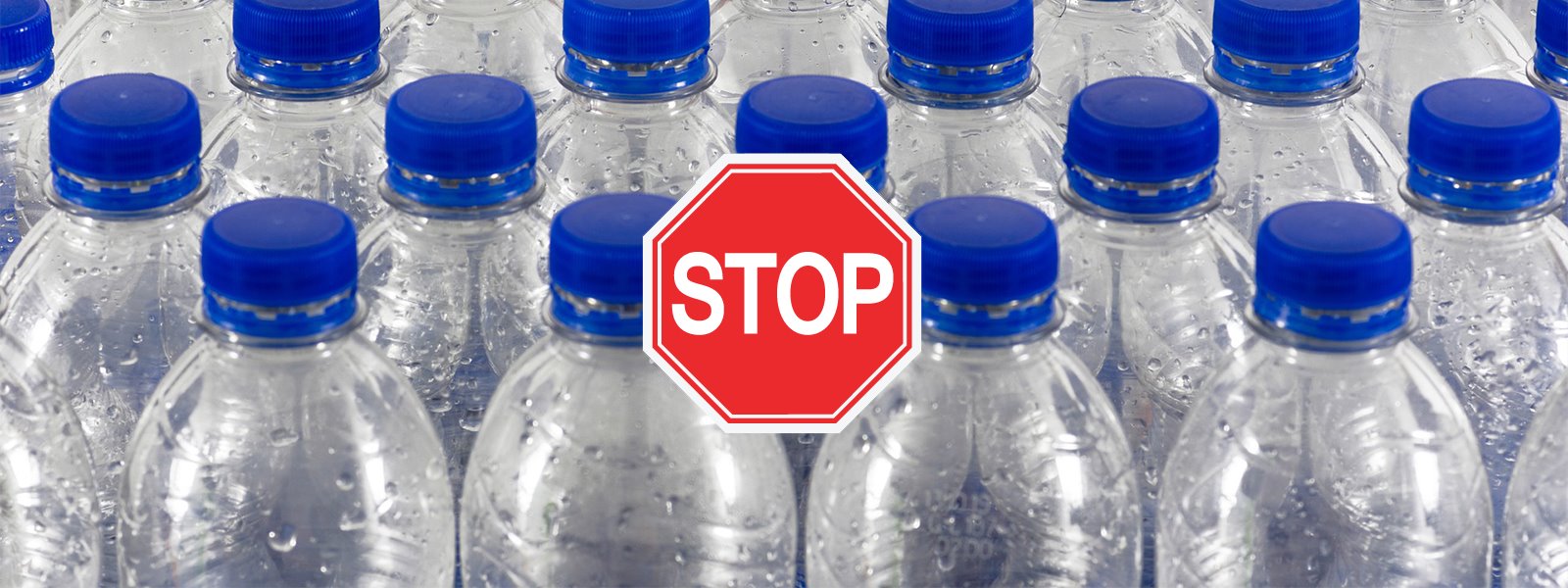 Waterchoice Water Filtration Systems, Benchtop & Floor Reverse