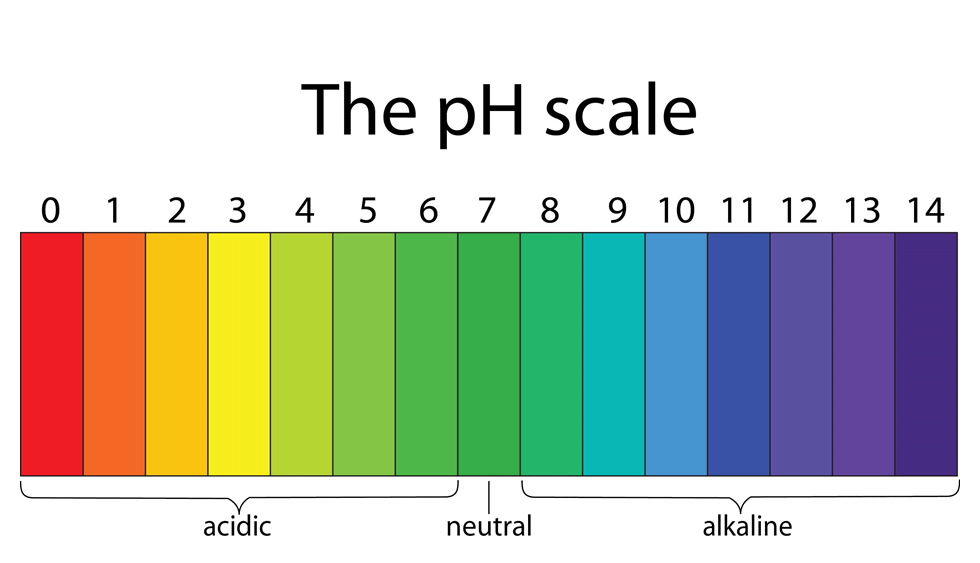 The PH Scale